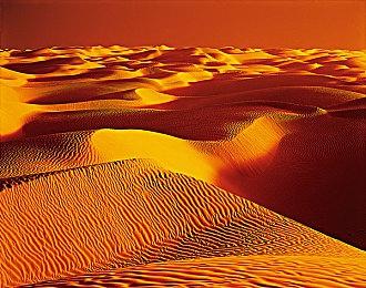 《失落之魂》过审 或很快更新消息